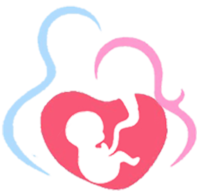 logo-nikolova
